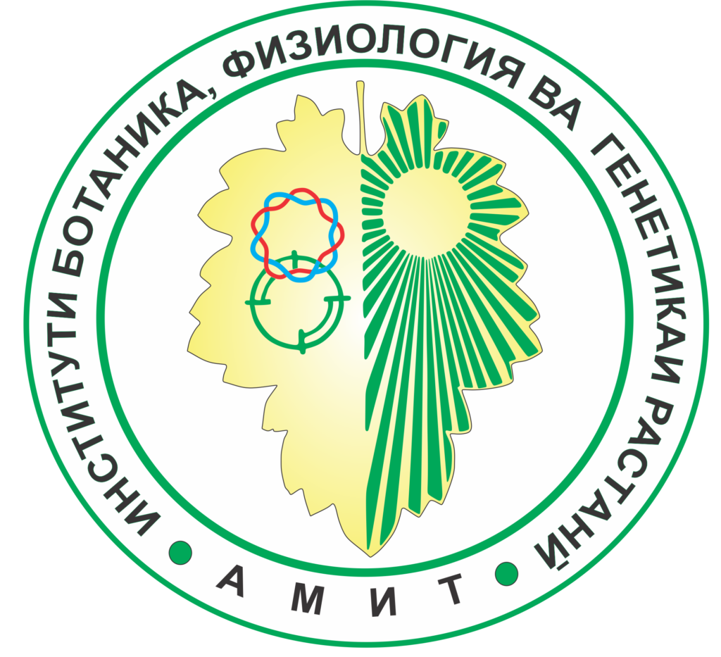 Логотип ИБФваГР АМИТ