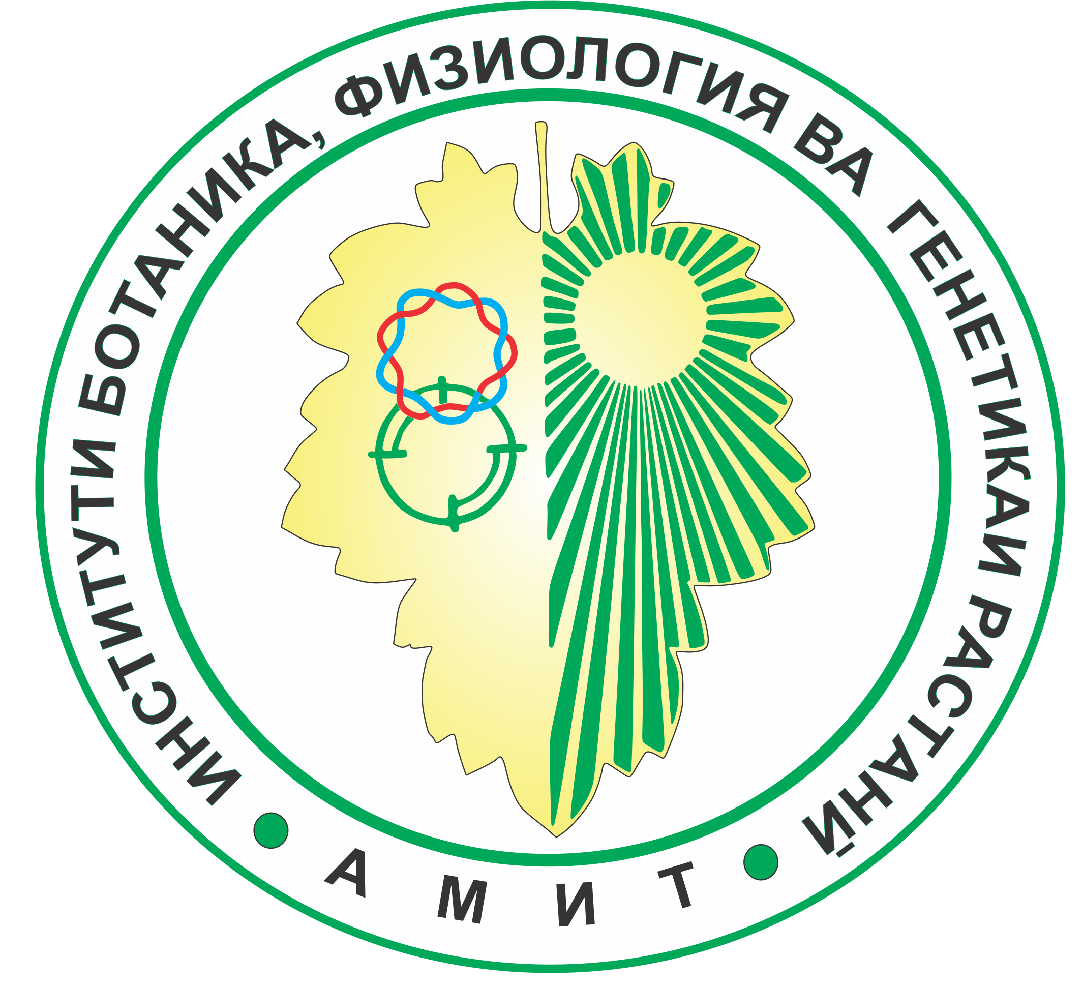 Логотип ИБФваГР АМИТ